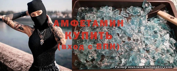 гидра Майский