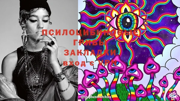 гидра Майский