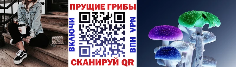 Псилоцибиновые грибы Cubensis  Купить где  Сортавала 